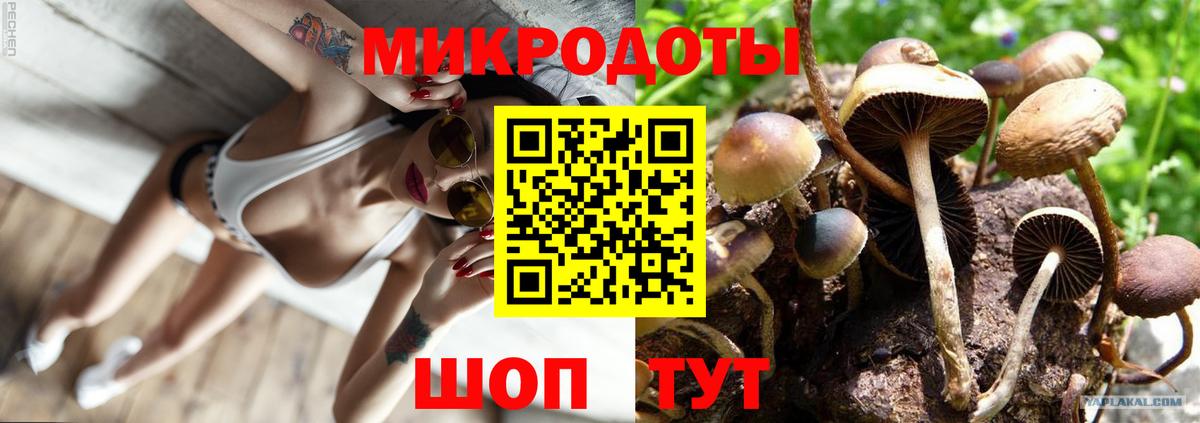 Галлюциногенные грибы Cubensis  Вход с VPN  Кизляр  Псилоцибиновые грибы Psilocybe 