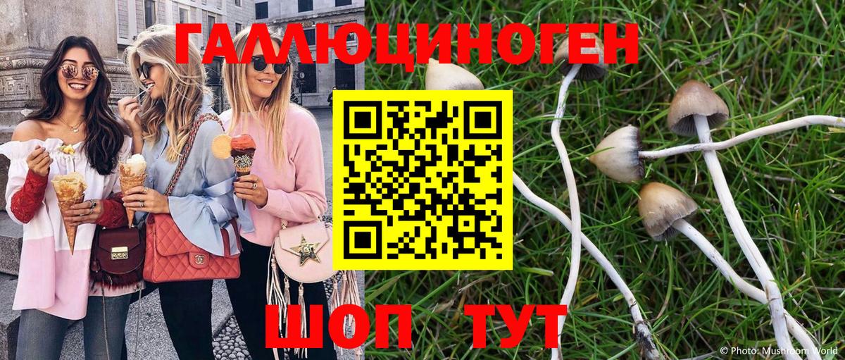 Псилоцибиновые грибы мухоморы Кизляр